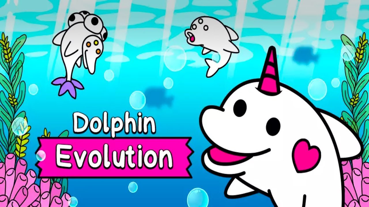Dolphin Evolution