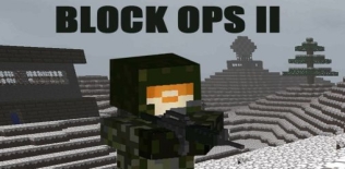 Block ops 2