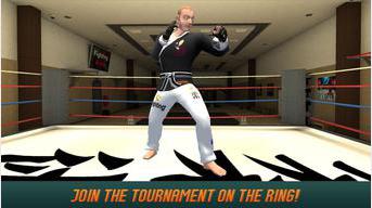 Karate Fighting Tiger 3D - 2