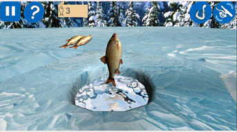 Winter fishing 3D